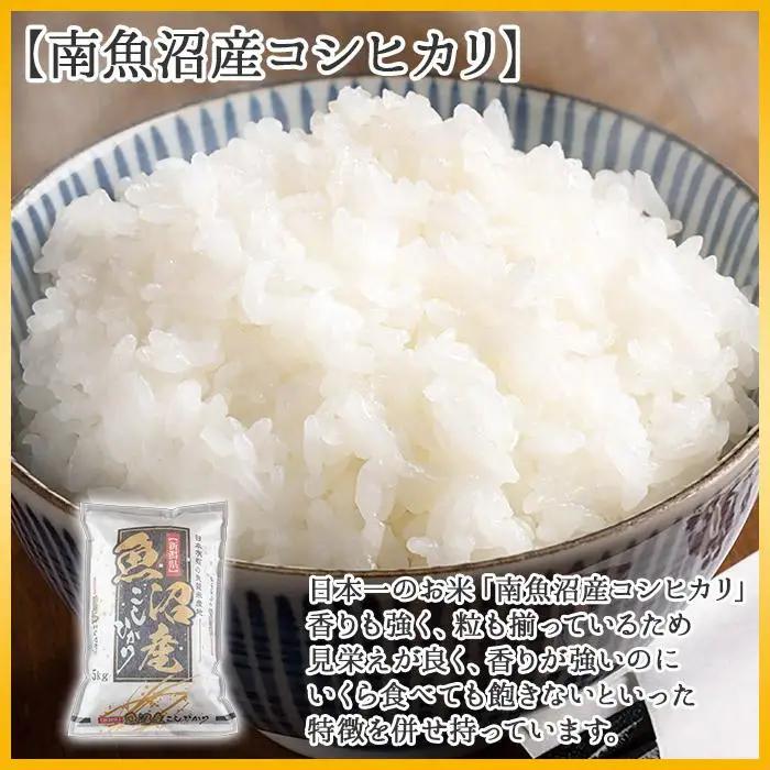 【令和7年】 【無地のし】新潟県 南魚沼産 コシヒカリ お米 5kg×2袋 計10kg 精米済み（お米の美味しい炊き方ガイド付き）