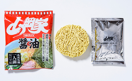 ラーメン山岡家 選べる10食セット 5つの味から選べます 北海道南幌町 札幌麺匠 【乾麺】 国産 インスタント NP1-346