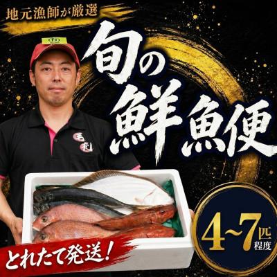 ふるさと納税 大船渡市 鮮魚便 4~7匹セット[mouri002]