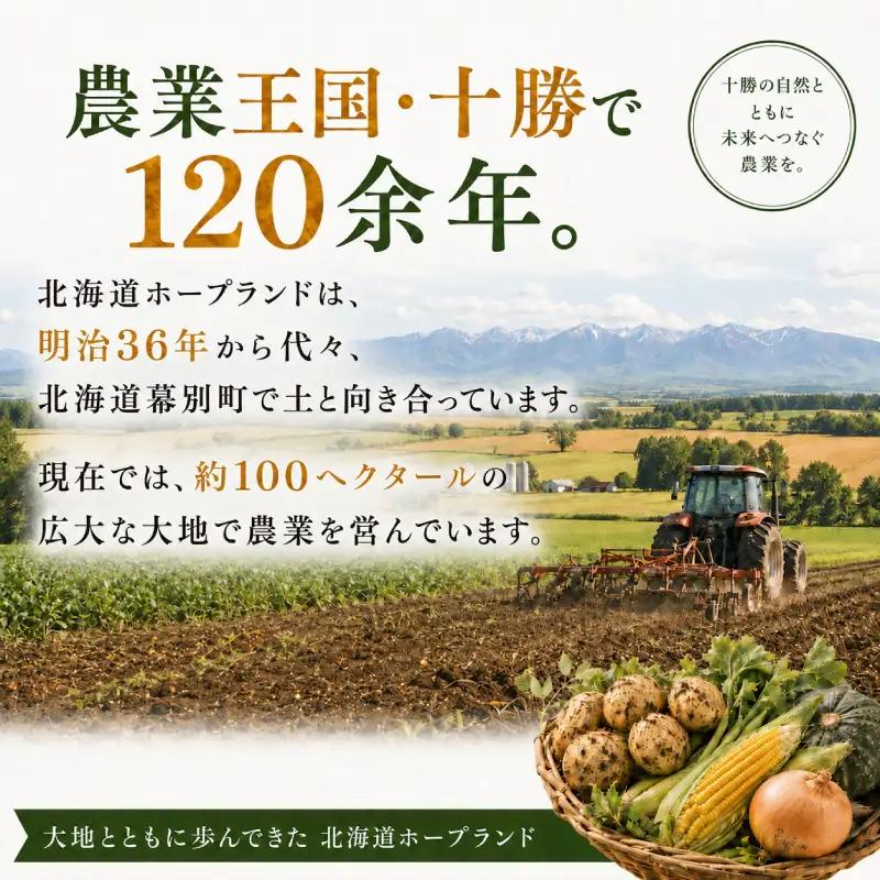 先行予約 2026年 白とうもろこし 18～20本 とうもろこし