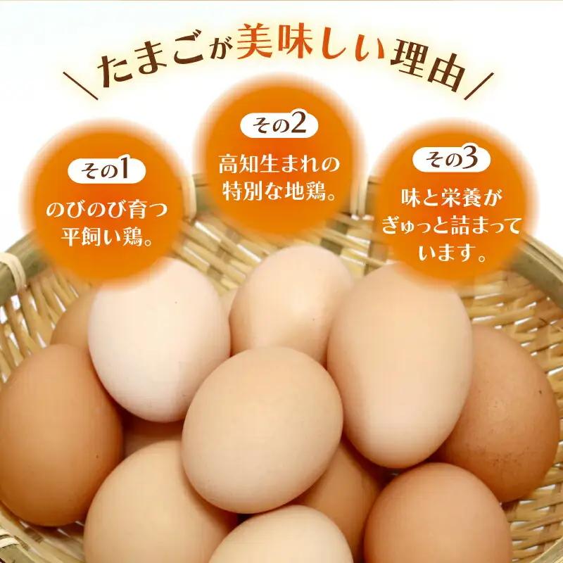 【6回定期便】土佐ジロー たまご 60個入×6 ＼たまご かけごはん／