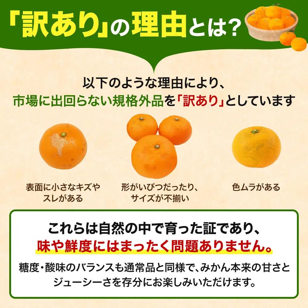  【先行予約】訳あり品 温州みかん 「おてんば娘」5kg(早生・中生・晩稲)【S～2Lサイズおまかせ】【2026年10月中旬～2027年2月下旬頃までに順次発送】＜味好農園＞/みかん 蜜柑 柑橘 温州
