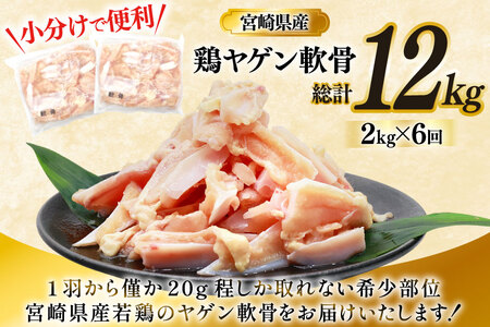 鶏肉 定期便 軟骨 若鶏 鶏軟骨 1kg 2p 6回 総計12kg [ミヤケイフード 宮崎県 美郷町 31bp0003] 小分け 冷凍 ヤゲン軟骨 ヤゲン なんこつ とりにく