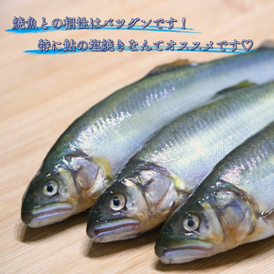 【1259-1】手作り天然塩　【逢母の天塩】200g×2パック