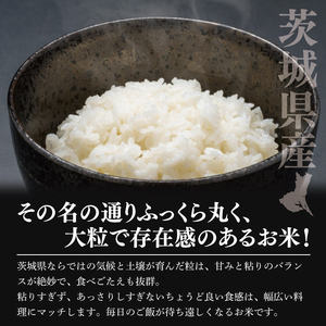 【数量限定】令和7年茨城県産ふくまる10kg(NU-5)