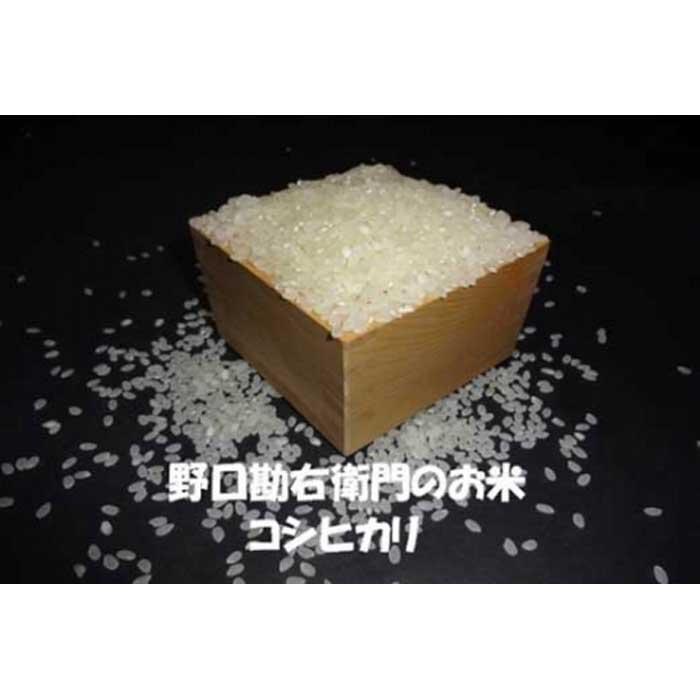 【ふるさと納税】【7年産】野口勘右衛門のお米「安心栽培米（コシヒカリ）」精米8.5kg