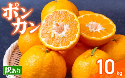 【早期予約】  須崎産 ポンカン 10kg 訳アリ ぽんかん  家庭用 14000円 おすすめ  果物 フルーツ みかん 柑橘 くだもの ミカン 果肉 蜜柑 人気  みかん  果物  フルーツ ギフト