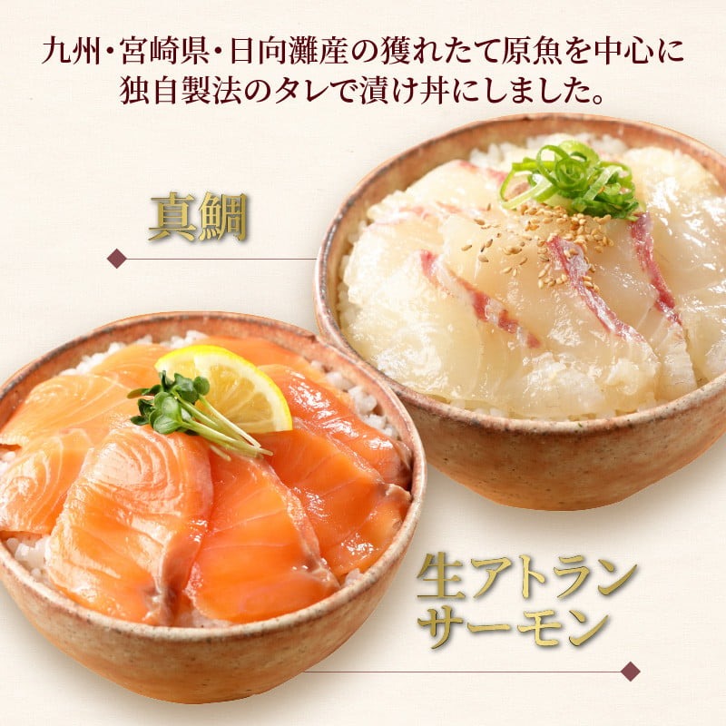 【冷凍】活〆日向灘真鯛と生アトランサーモンの漬け丼2種食べ比べセット100g×8袋 N019-YB252