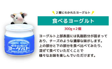 ヨーグルト 榎本牧場 こだわり ヨーグルト 詰合せ 3種 5個