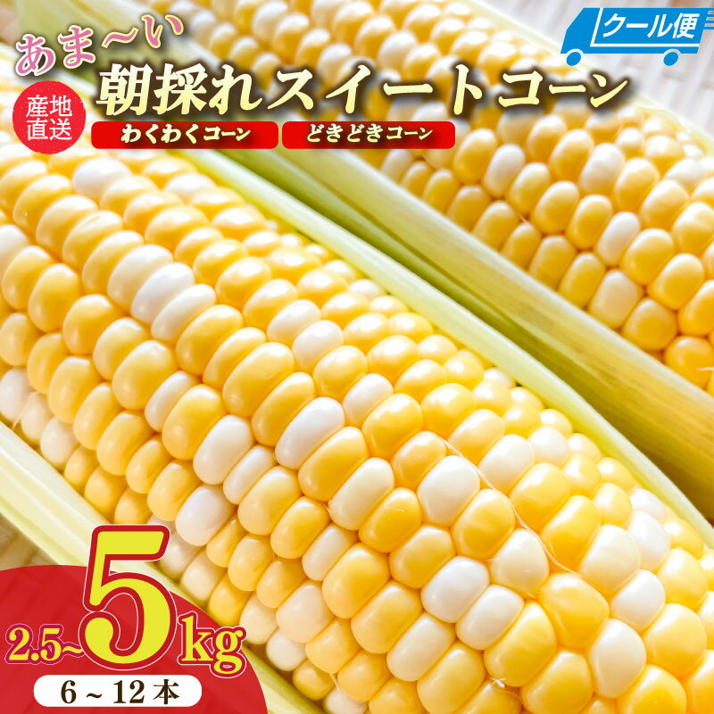 【ふるさと納税】【予約受付 令和8年6月から発送開始】 とうもろこし 朝採れ 野菜 スイーツ 約 2.5kg ~ 5kg 糖度18〜19度 予約受付 予約 甘い あまい レジャー バーベキュー BBQ 産地直送 新鮮 おやつ 送料無料 数量限定 期間限定 静岡県 牧之原市 もろこしショップぐりぱ