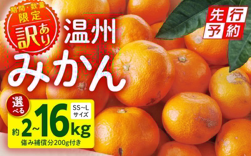 
            《2025年発送先行予約》【選べる内容量】【期間・数量限定】《訳あり》温州みかん(傷み補償分200g付き)_M249-003-SKU
          