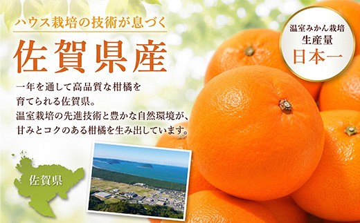 ・青果のため、お早めにお召し上がりください。
・到着後は箱から取り出し、冷蔵庫での保管をお勧めしております。