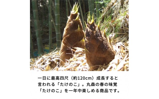 【丸森町特産】 たけのこカレー3個とたけのこご飯のもと2個