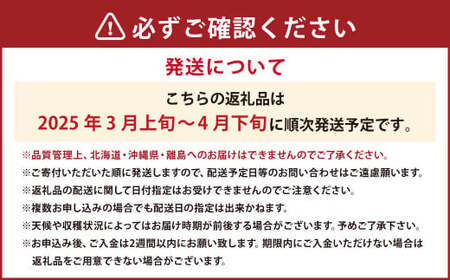 春のあまおう 2L・2A・G規格以上 約250-270g×4パック 苺 イチゴ あまおう くだもの 果物 フルーツ 【2025年3月上旬～4月下旬発送予定】