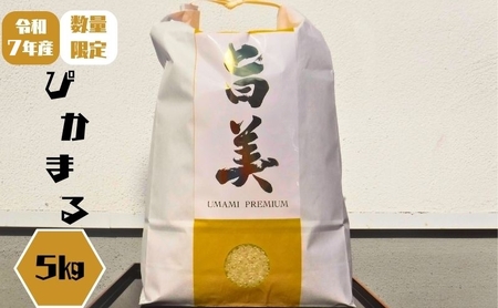お米 令和7年産 ぴかまる 5kg 無農薬 お米