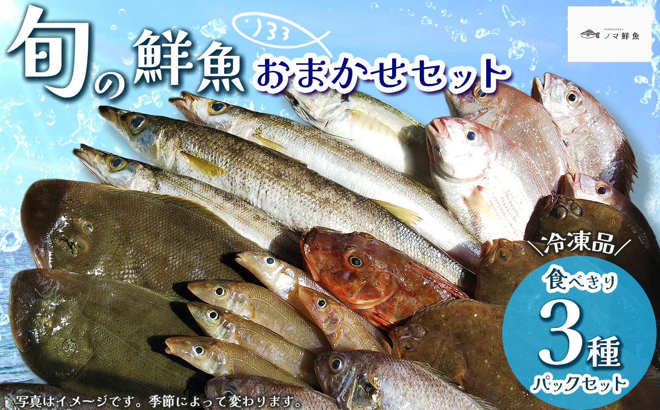 
                  鮮度抜群！お魚おまかせ食べきり3種パック×1セット｜海鮮 鮮魚 魚 下処理済 新鮮 海鮮盛り合わせ 詰め合わせ 人気 おすすめ 愛知県 美浜町 ※北海道・沖縄・離島への配送不可
                