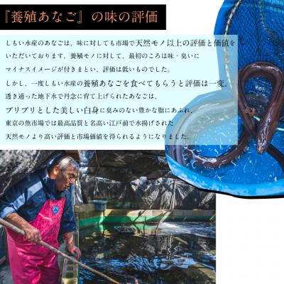 ふるさと納税 明和町 あなごの開き I7 |  | 01