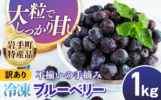 【岩手町産】冷凍ブルーベリー 1kg【訳あり】 冷凍 家庭用 大粒 不揃い 果物 フルーツ 国産 岩手県産 フローズン おやつ デザート 岩手県 岩手町