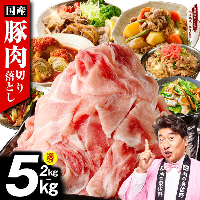 【ふるさと納税】国産 豚肉 切り落とし 肉 訳あり 選べる容量 2kg ～ 5kg 氷温熟成 極味付け 塩麹 昆布 うま味 モモ ウデ バラ 豚丼 豚汁 ポークカレー 炒め物 煮物 小分け 真空パック 冷凍 時短 簡単 ストック 肉 泉佐野市 送料無料 年内発送
