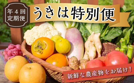 
            【年4回定期便】うきは特別便 季節の特産品詰め合わせ 各2kg×4回 (1月・6月・8月・11月) お届け
          