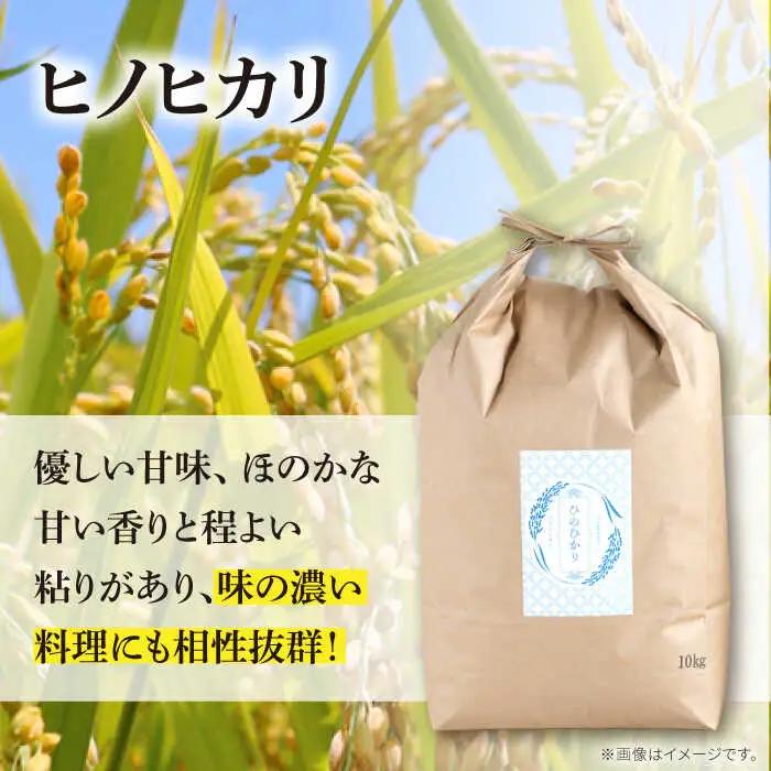 ヒノヒカリ 10kg×12回 定期便 / ひのひかり 米 お米 こめ コメ 精米 / 南島原市 / 林田米穀店 [SCO007]
