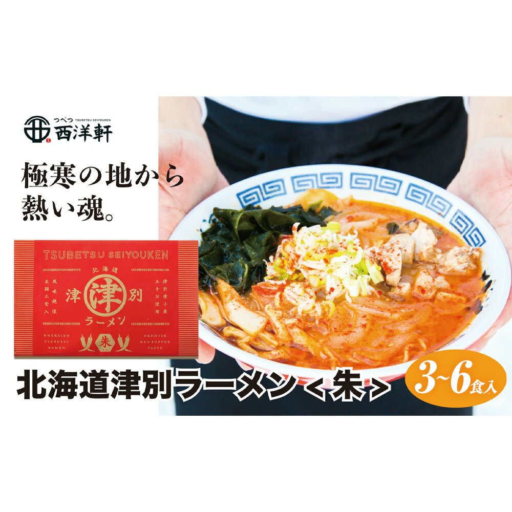 【ふるさと納税】北海道津別ラーメン（朱）3〜6食セット | ラーメン らーめん 拉麺 麺 細麺 ストレート スープ付き セット 詰合せ 詰め合わせ 辛い 唐辛子 味噌 北海道 津別町 送料無料