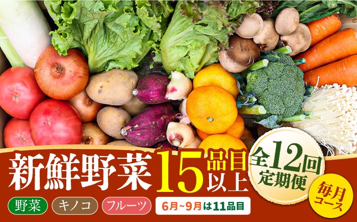 【12回定期便】豪華！野菜 セット 15品目以上 12回 定期便 / 野菜 フルーツ きのこ 詰め合わせ 南島原市 / 吉岡青果 [SCZ019]