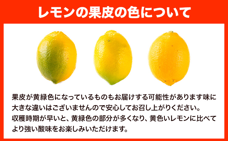 レモン 約2kg と 手搾り100％レモン果汁 1本 セット《12月中旬‐2月末頃出荷》熊本県 玉名郡 玉東町 【日付指定不可】 菅本果実園 檸檬 レモンジュース レモネード はちみつレモン---gkt_sgm_9_2kg1h---