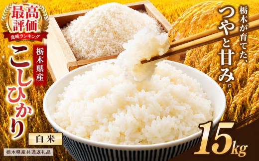 【栃木県共通返礼品】栃木県産コシヒカリ 白米 15kg | コシヒカリ こしひかり コメ お米 米 白米 栃木県産 ご飯 飯 御飯 主食 kome 栃木県 那珂川町 送料無料