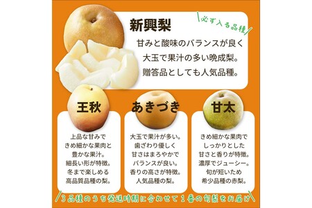 【先行予約】京丹後市産 新興梨と別品種の梨セット約5kg