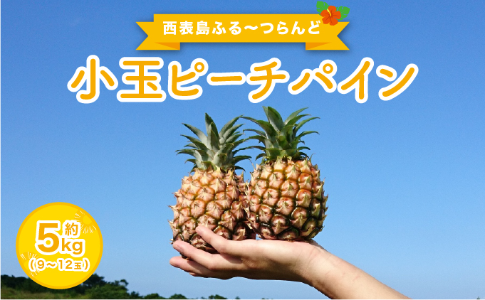 2026年 先行予約 小玉 ピーチパイン 約5kg 9～12玉 ★西表島ふる～つらんど★美味しさギュッと！ 果物 フルーツ パイン