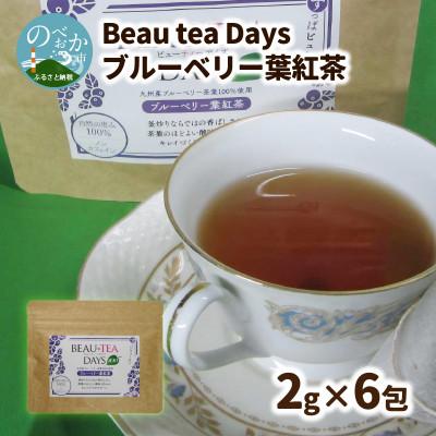 ふるさと納税 延岡市 Beau tea Days ブルーベリー葉 紅茶　2g×6包