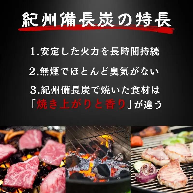 紀州備長炭 バーベキュー用 15kg/ 備長炭 和歌山 田辺市【ask005】 
