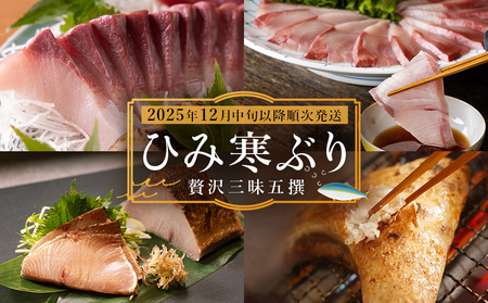 【先行予約】ひみ寒ぶり贅沢三昧五撰【2025年12月中旬以降順次発送】 鰤 ブリ 詰め合わせ 冷凍 魚介 富山県 氷見市