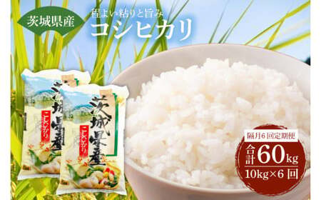 定期便 米 コシヒカリ 10kg × 6回 2ヶ月に1回 隔月定期便 米