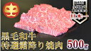 【ふるさと納税】【うしの中山】 霜降り 焼肉 用 500g【日付指定不可】