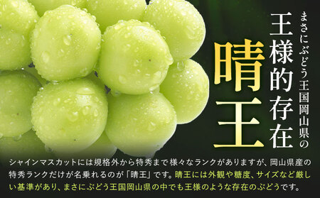 【先行予約】【2ヶ月定期便】ぶどう シャインマスカット 赤秀 プレミアム 晴王 600g 1房 マスカット岡山《9月上旬-10月末頃出荷》岡山県 浅口市 送料無料 フルーツ 果物 マスカット お取り寄