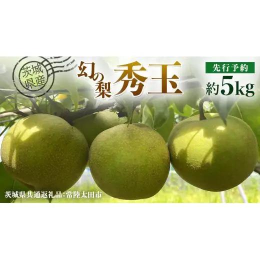 【 先行予約 】茨城県産 『幻の梨』 秀玉 約5kg 11玉～14玉( 茨城県共通返礼品 : 常陸太田市 )【 2026年 8月下旬頃より発送 】