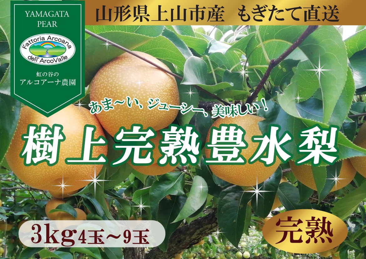 
                  【樹上完熟】和梨「豊水」　３ｋｇ　４～９玉（直送便）　0148-2618
                