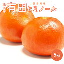 【ふるさと納税】和歌山有田産セミノールオレンジ【訳あり家庭用】5kg(M～3Lサイズ混合)【ミカン 蜜柑 春みかん 柑橘 オレンジ】