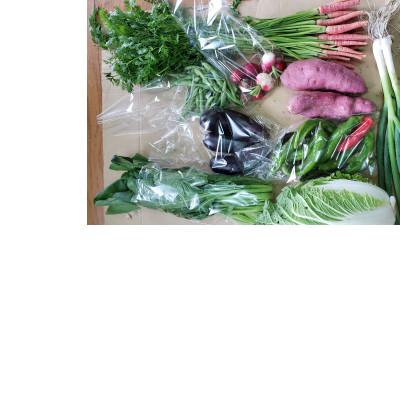 ふるさと納税 南丹市 美山のかやぶき京野菜セット |  | 02