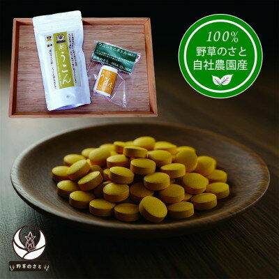 【ふるさと納税】秋うこん 600粒+ミニボトル30粒【配送不可地域：離島】【1670275】