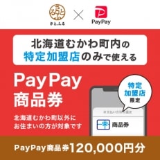 北海道むかわ町　PayPay商品券(120,000円分)※地域内の一部の加盟店のみで利用可