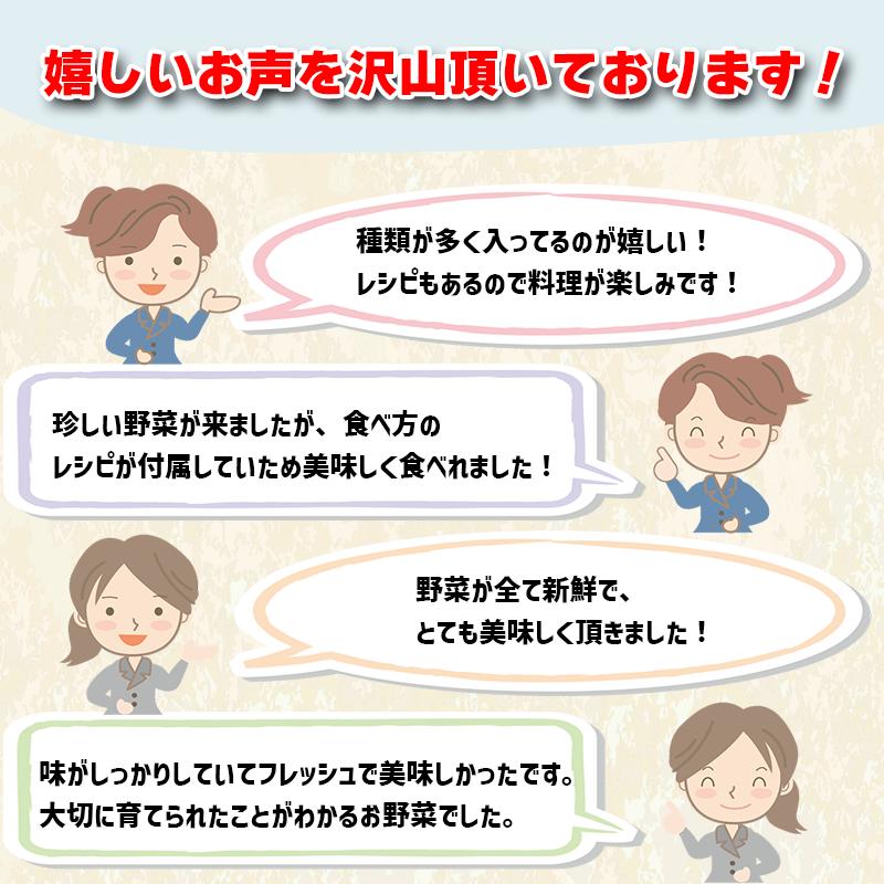 【年末年始限定】毎月の野菜便り『高知の野菜12回お届け定期便』 定期便 野菜