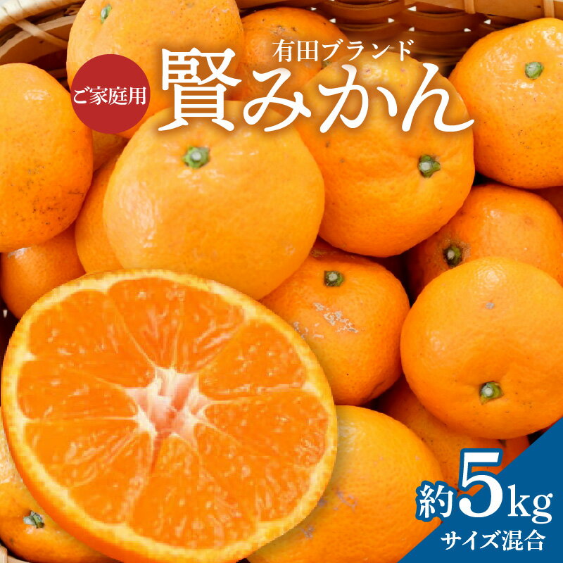【ふるさと納税】【2025年先行予約】【家庭用】 賢みかん 約 5kg サイズ混合 有田ブランド 濃厚 甘さ 酸味 バランス 糖度 高い 果汁 ミカン 果物 柑橘 温州みかん 有田みかん フルーツ お取り寄せ 食品 食べ物 国産 和歌山県 湯浅町 送料無料