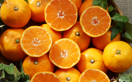 なるた果樹園季節のみかん定期便C（年3回お届けコース）