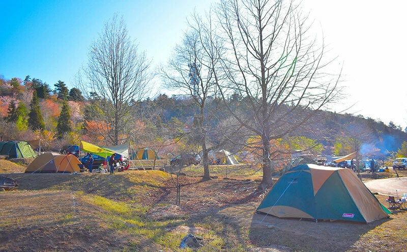 宇根山家族旅行村（キャンプ場） 宇根山天文台 ご利用券 3,000円分 キャンプ 宿泊 バーベキュー 星空 広島県三原市131001