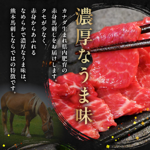 オアシス九州 【熊本県内と畜】 馬刺し 赤身 400g 県内肥育 馬肉 ブロック おつまみ 冷凍 _U117-0029