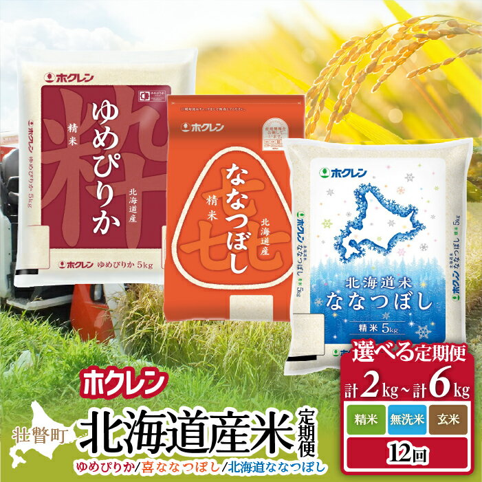 【ふるさと納税】北海道産 ゆめぴりか 定期便 1年 毎月お届け ななつぼし 米 2kg〜6kg 小分け 選べる 精米 無洗米 玄米 令和7年産