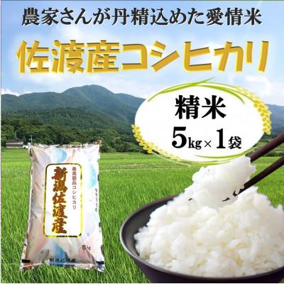 ふるさと納税 佐渡市 【令和7年産】佐渡高千産コシヒカリ5kg(精米)